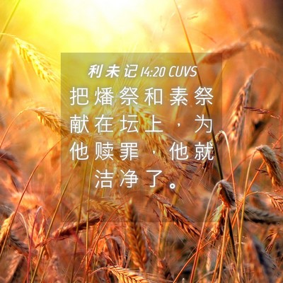 Picture 04 - 利 未 记 14:20 CUVS - 把 燔 祭 和 素 祭 献 在 坛 上 ， 为 - Bible Verse Picture