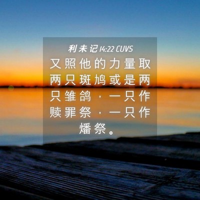 Picture 04 - 利 未 记 14:22 CUVS - 又 照 他 的 力 量 取 两 只 斑 鸠 或 - Bible Verse Picture