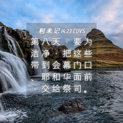 Picture 04 - 利 未 记 14:23 CUVS - 第 八 天 ， 要 为 洁 净 ， 把 这 些 - Bible Verse Picture