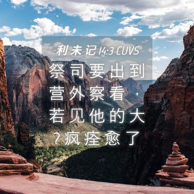 Picture 04 - 利 未 记 14:3 CUVS - 祭 司 要 出 到 营 外 察 看 ， 若 见 - Bible Verse Picture