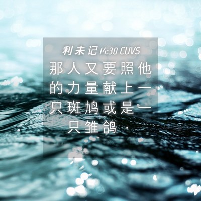 Picture 04 - 利 未 记 14:30 CUVS - 那 人 又 要 照 他 的 力 量 献 上 一 - Bible Verse Picture