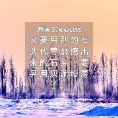 Picture 04 - 利 未 记 14:42 CUVS - 又 要 用 别 的 石 头 代 替 那 挖 出 - Bible Verse Picture
