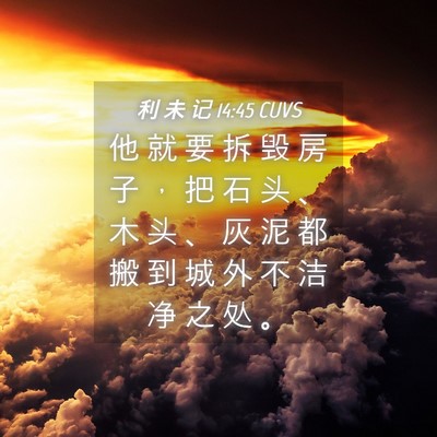 Picture 04 - 利 未 记 14:45 CUVS - 他 就 要 拆 毁 房 子 ， 把 石 头 、 - Bible Verse Picture