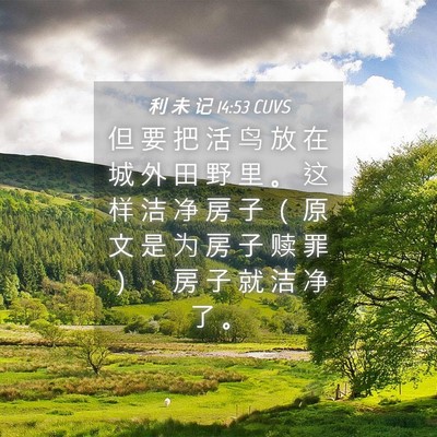 Picture 04 - 利 未 记 14:53 CUVS - 但 要 把 活 鸟 放 在 城 外 田 野 里 - Bible Verse Picture