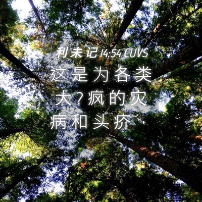 Picture 04 - 利 未 记 14:54 CUVS - 这 是 为 各 类 大 ? 疯 的 灾 病 和 头 - Bible Verse Picture