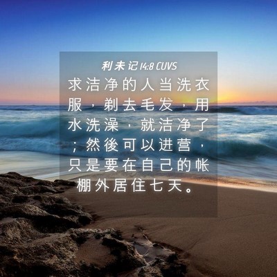 Picture 04 - 利 未 记 14:8 CUVS - 求 洁 净 的 人 当 洗 衣 服 ， 剃 去 - Bible Verse Picture