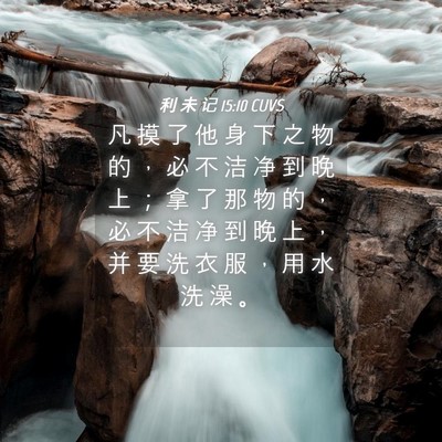 Picture 04 - 利 未 记 15:10 CUVS - 凡 摸 了 他 身 下 之 物 的 ， 必 不 - Bible Verse Picture