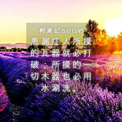 Picture 04 - 利 未 记 15:12 CUVS - 患 漏 症 人 所 摸 的 瓦 器 就 必 打 - Bible Verse Picture