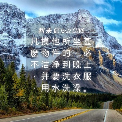 Picture 04 - 利 未 记 15:22 CUVS - 凡 摸 他 所 坐 甚 麽 物 件 的 ， 必 - Bible Verse Picture