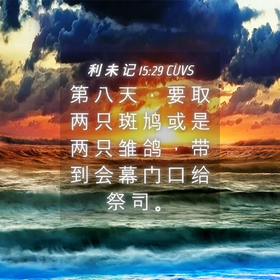 Picture 04 - 利 未 记 15:29 CUVS - 第 八 天 ， 要 取 两 只 斑 鸠 或 是 - Bible Verse Picture