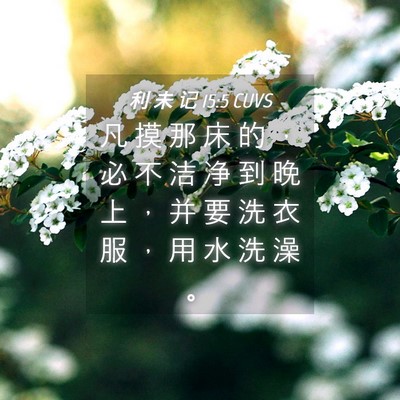 Picture 04 - 利 未 记 15:5 CUVS - 凡 摸 那 床 的 ， 必 不 洁 净 到 晚 - Bible Verse Picture