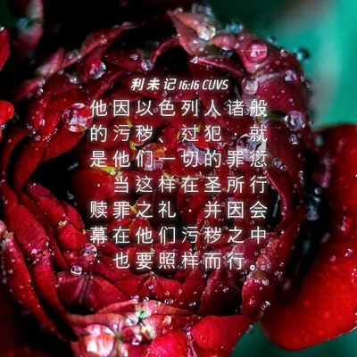 Picture 04 - 利 未 记 16:16 CUVS - 他 因 以 色 列 人 诸 般 的 污 秽 、 - Bible Verse Picture