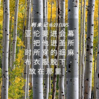 Picture 04 - 利 未 记 16:23 CUVS - 亚 伦 要 进 会 幕 ， 把 他 进 圣 所 - Bible Verse Picture