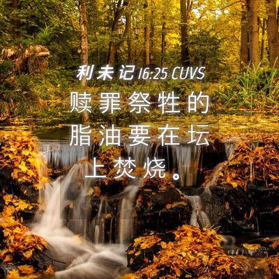Picture 04 - 利 未 记 16:25 CUVS - 赎 罪 祭 牲 的 脂 油 要 在 坛 上 焚 - Bible Verse Picture