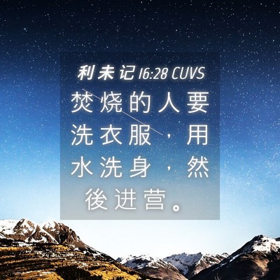 Picture 04 - 利 未 记 16:28 CUVS - 焚 烧 的 人 要 洗 衣 服 ， 用 水 洗 - Bible Verse Picture