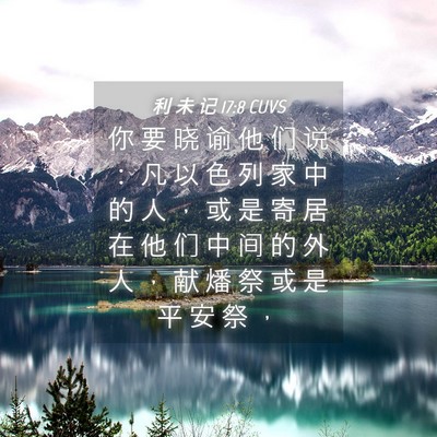 Picture 04 - 利 未 记 17:8 CUVS - 你 要 晓 谕 他 们 说 ： 凡 以 色 列 - Bible Verse Picture