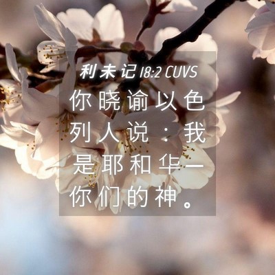 Picture 04 - 利 未 记 18:2 CUVS - 你 晓 谕 以 色 列 人 说 ： 我 是 耶 - Bible Verse Picture