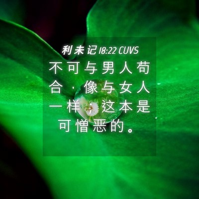 Picture 04 - 利 未 记 18:22 CUVS - 不 可 与 男 人 苟 合 ， 像 与 女 人 - Bible Verse Picture