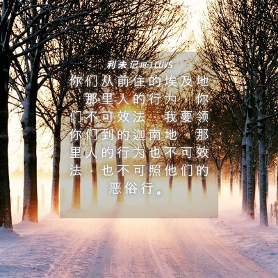 Picture 04 - 利 未 记 18:3 CUVS - 你 们 从 前 住 的 埃 及 地 ， 那 里 - Bible Verse Picture