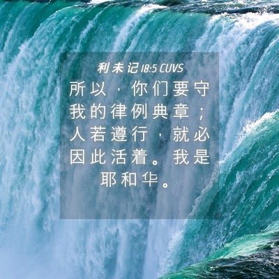 Picture 04 - 利 未 记 18:5 CUVS - 所 以 ， 你 们 要 守 我 的 律 例 典 - Bible Verse Picture