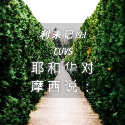 Picture 04 - 利 未 记 19:1 CUVS - 耶 和 华 对 摩 西 说 - Bible Verse Picture