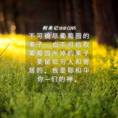 Picture 04 - 利 未 记 19:10 CUVS - 不 可 摘 尽 葡 萄 园 的 果 子 ， 也 - Bible Verse Picture