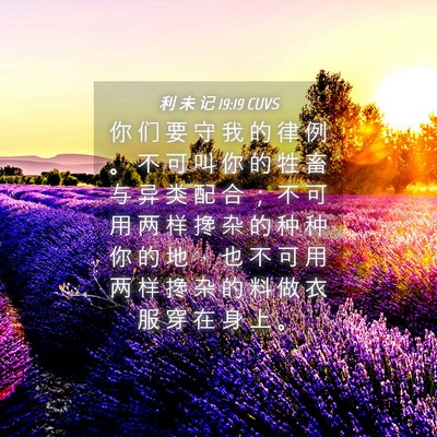 Picture 04 - 利 未 记 19:19 CUVS - 你 们 要 守 我 的 律 例 。 不 可 叫 - Bible Verse Picture