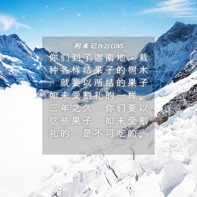 Picture 04 - 利 未 记 19:23 CUVS - 你 们 到 了 迦 南 地 ， 栽 种 各 样 - Bible Verse Picture