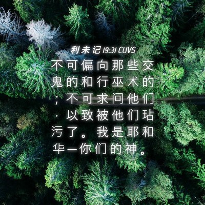 Picture 04 - 利 未 记 19:31 CUVS - 不 可 偏 向 那 些 交 鬼 的 和 行 巫 - Bible Verse Picture