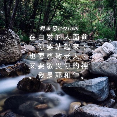 Picture 04 - 利 未 记 19:32 CUVS - 在 白 发 的 人 面 前 ， 你 要 站 起 - Bible Verse Picture
