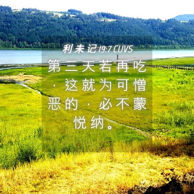 Picture 04 - 利 未 记 19:7 CUVS - 第 三 天 若 再 吃 ， 这 就 为 可 憎 - Bible Verse Picture