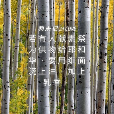 Picture 04 - 利 未 记 2:1 CUVS - 若 有 人 献 素 祭 为 供 物 给 耶 和 - Bible Verse Picture