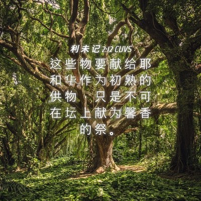 Picture 04 - 利 未 记 2:12 CUVS - 这 些 物 要 献 给 耶 和 华 作 为 初 - Bible Verse Picture