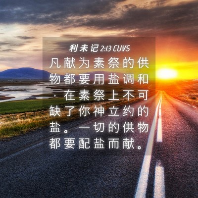 Picture 04 - 利 未 记 2:13 CUVS - 凡 献 为 素 祭 的 供 物 都 要 用 盐 - Bible Verse Picture