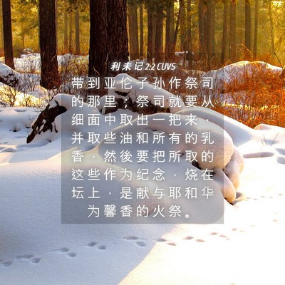 Picture 04 - 利 未 记 2:2 CUVS - 带 到 亚 伦 子 孙 作 祭 司 的 那 里 - Bible Verse Picture