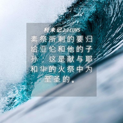 Picture 04 - 利 未 记 2:3 CUVS - 素 祭 所 剩 的 要 归 给 亚 伦 和 他 - Bible Verse Picture