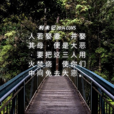 Picture 04 - 利 未 记 20:14 CUVS - 人 若 娶 妻 ， 并 娶 其 母 ， 便 是 - Bible Verse Picture