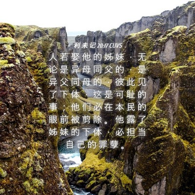 Picture 04 - 利 未 记 20:17 CUVS - 人 若 娶 他 的 姊 妹 ， 无 论 是 异 - Bible Verse Picture