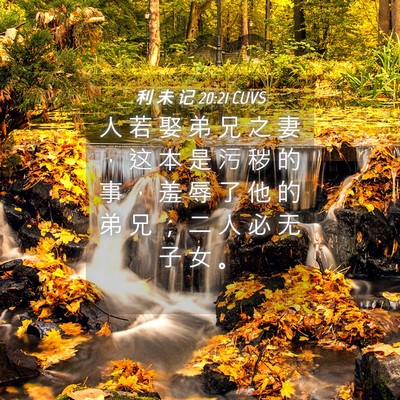 Picture 04 - 利 未 记 20:21 CUVS - 人 若 娶 弟 兄 之 妻 ， 这 本 是 污 - Bible Verse Picture