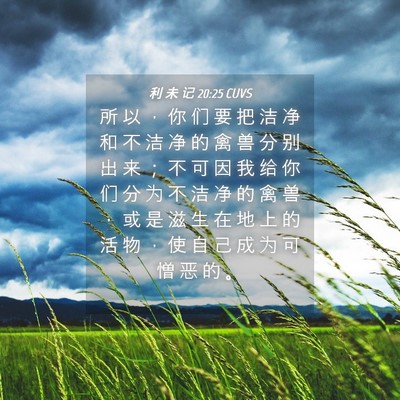 Picture 04 - 利 未 记 20:25 CUVS - 所 以 ， 你 们 要 把 洁 净 和 不 洁 - Bible Verse Picture