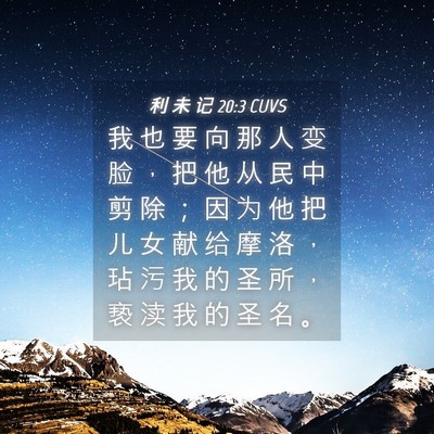 Picture 04 - 利 未 记 20:3 CUVS - 我 也 要 向 那 人 变 脸 ， 把 他 从 - Bible Verse Picture