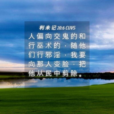 Picture 04 - 利 未 记 20:6 CUVS - 人 偏 向 交 鬼 的 和 行 巫 术 的 ， - Bible Verse Picture