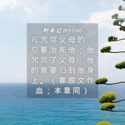 Picture 04 - 利 未 记 20:9 CUVS - 凡 咒 骂 父 母 的 ， 总 要 治 死 他 - Bible Verse Picture