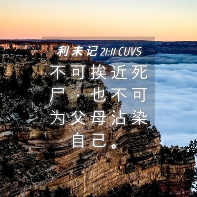Picture 04 - 利 未 记 21:11 CUVS - 不 可 挨 近 死 尸 ， 也 不 可 为 父 - Bible Verse Picture