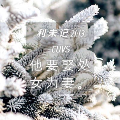 Picture 04 - 利 未 记 21:13 CUVS - 他 要 娶 处 女 为 妻 - Bible Verse Picture