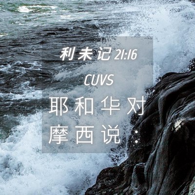 Picture 04 - 利 未 记 21:16 CUVS - 耶 和 华 对 摩 西 说 - Bible Verse Picture