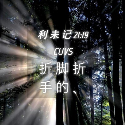 Picture 04 - 利 未 记 21:19 CUVS - 折 脚 折 手 的 - Bible Verse Picture