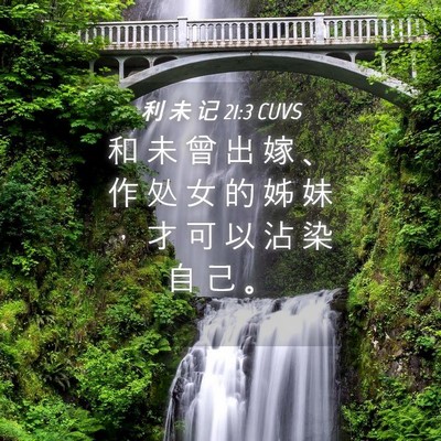 Picture 04 - 利 未 记 21:3 CUVS - 和 未 曾 出 嫁 、 作 处 女 的 姊 妹 - Bible Verse Picture
