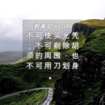 Picture 04 - 利 未 记 21:5 CUVS - 不 可 使 头 光 秃 ； 不 可 剃 除 胡 - Bible Verse Picture