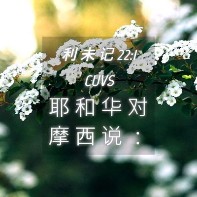 Picture 04 - 利 未 记 22:1 CUVS - 耶 和 华 对 摩 西 说 - Bible Verse Picture